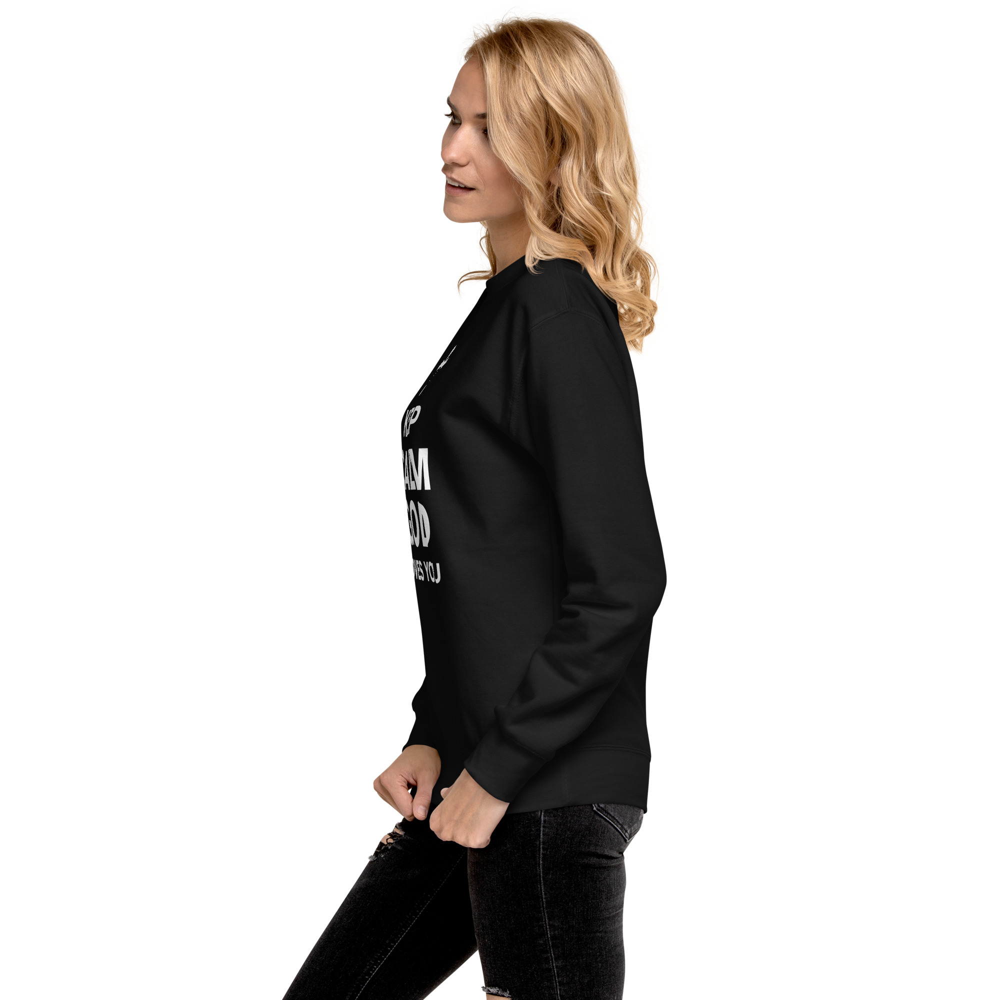 unisex-premium-sweatshirt-black-left-6538d5ea253cc.jpg