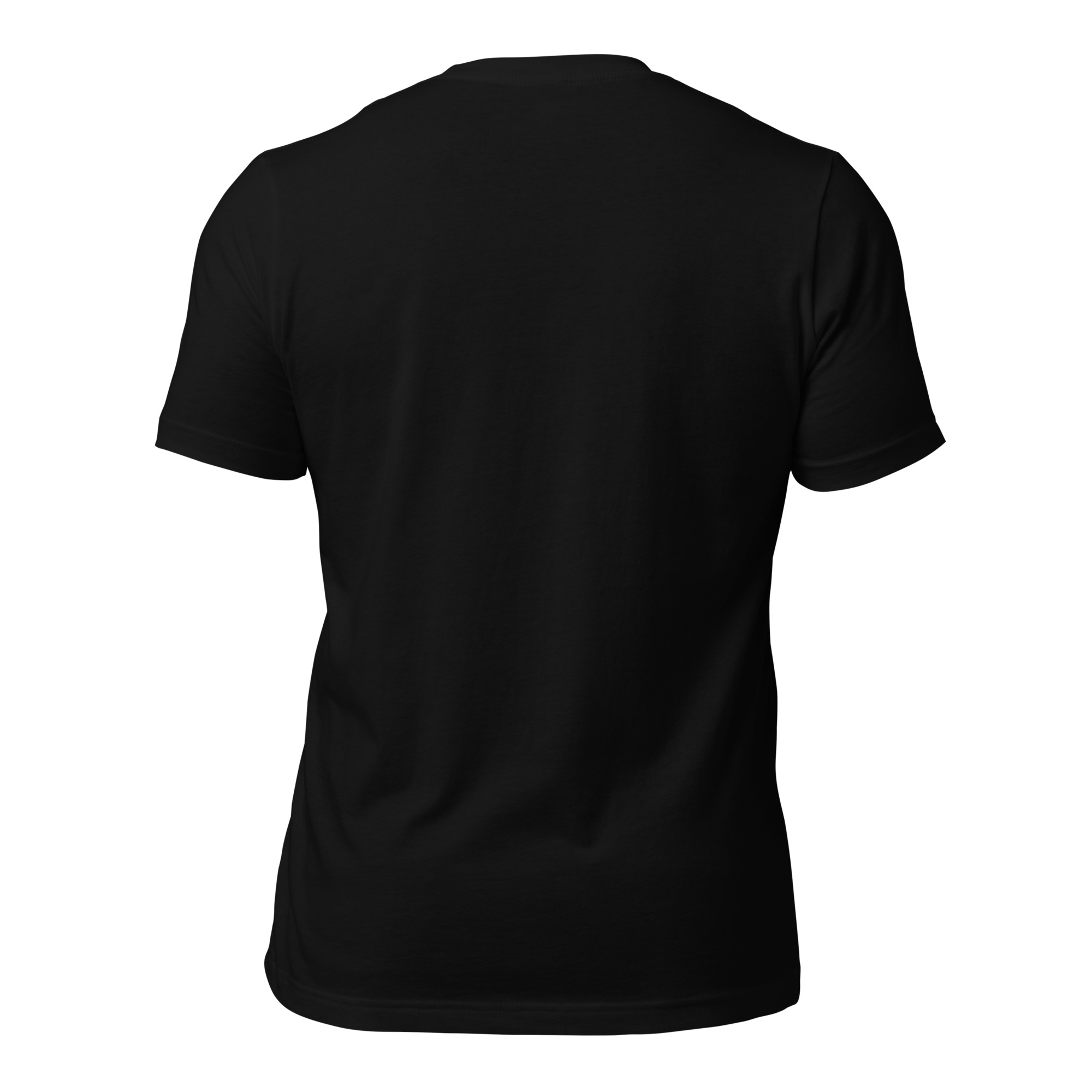 unisex-staple-t-shirt-black-back-65489f2ce5df9.jpg